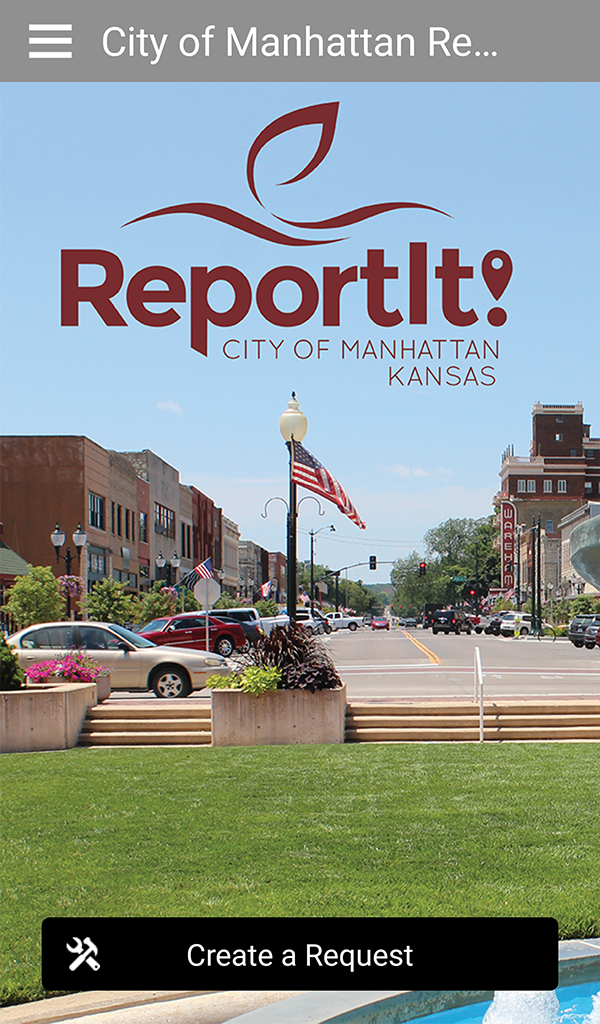 Graphic of Report It! Mobile App