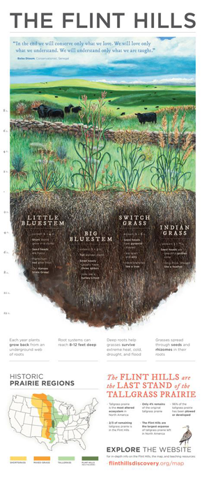 Flint Hills Elementary School Side Pane